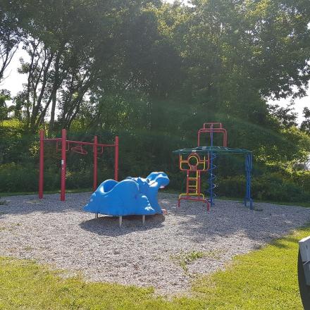 Playground with colorful climbing structure and a blue dinosaur slide. Trees in background.