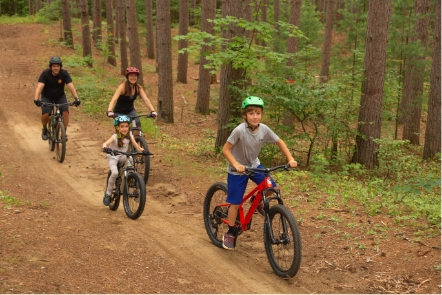 Jeune famille en vélo dans la forêt Larose