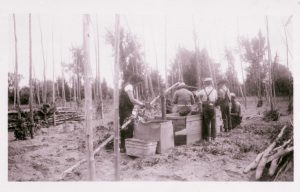 Travailleurs qui cueillent le houblon