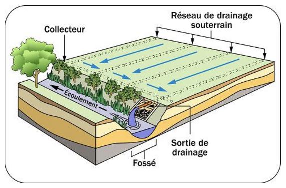 Tableau de drainage