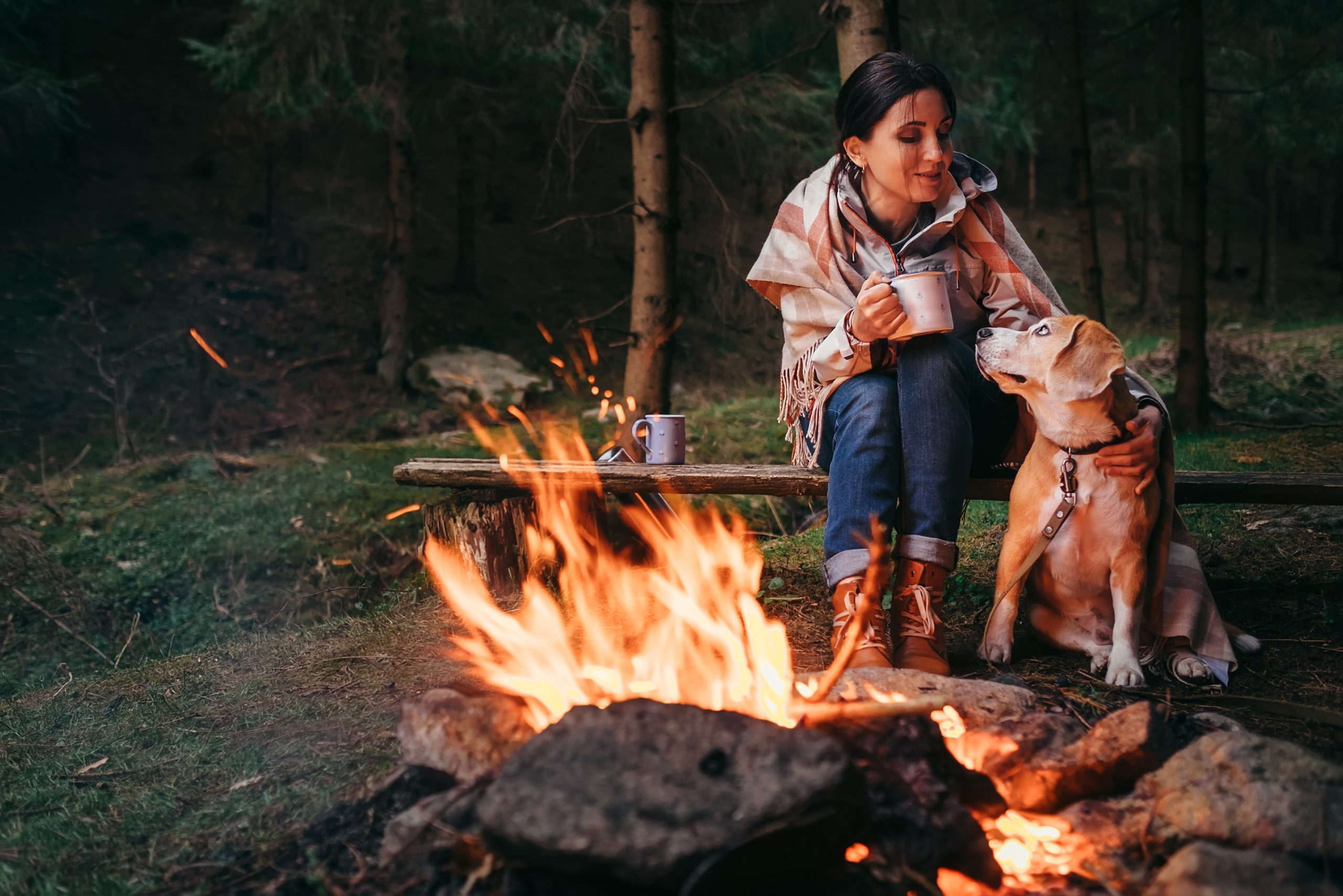 Femme avec un chien au bord d'un feu de camp