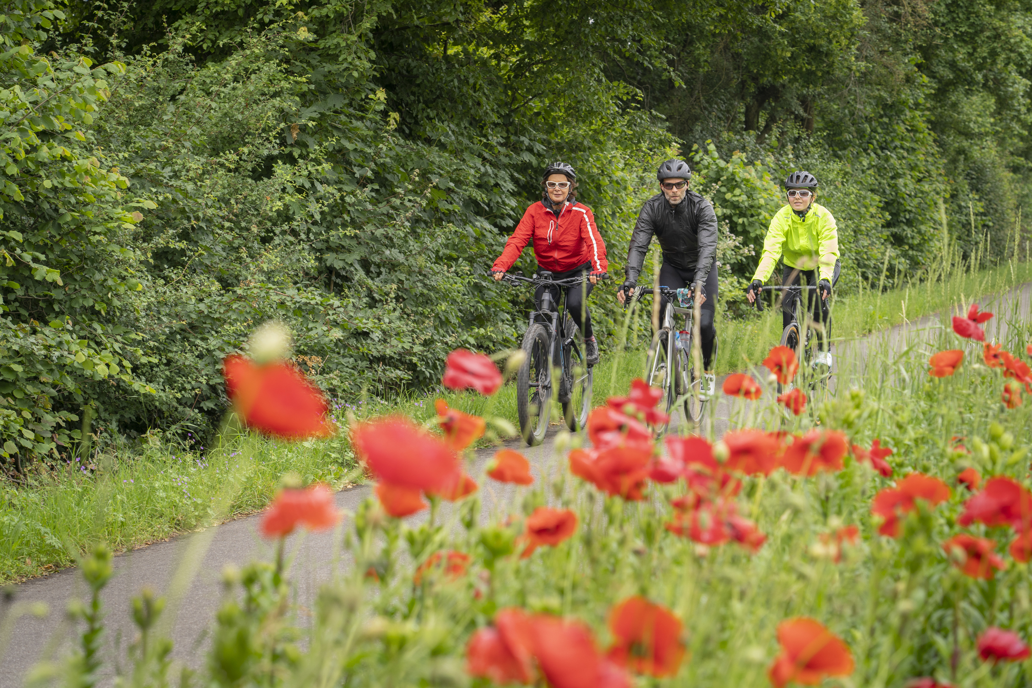 Trois cyclistes se suivent sur un sentier bordé de fleurs rouges