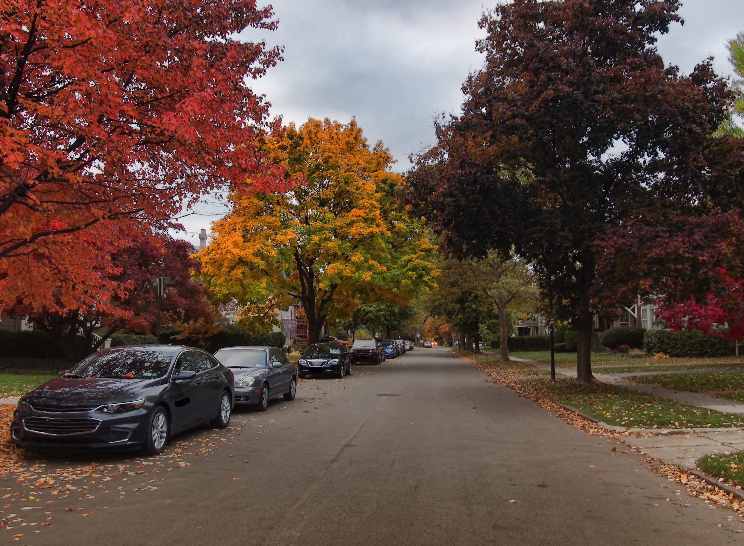 Cars parked along a residential road in autumn.